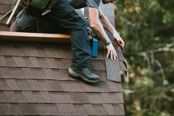 Best Roof Maintenance Services  in Auburn, WA